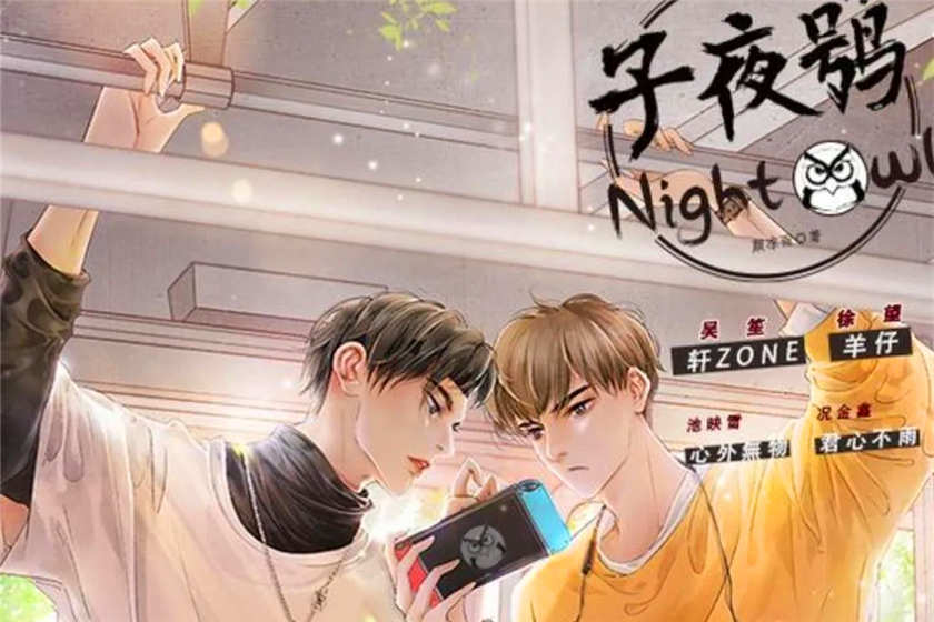 子夜鸮
