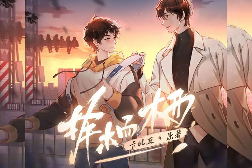 择木而栖